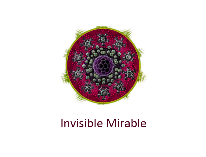Portada del libro: Invisible Mirable