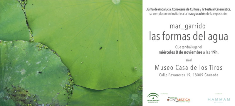 Invitación a la exposición Invitación de la exposición
